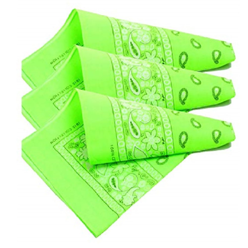 Paisley 3 piece Assorted Cotton Bandanas